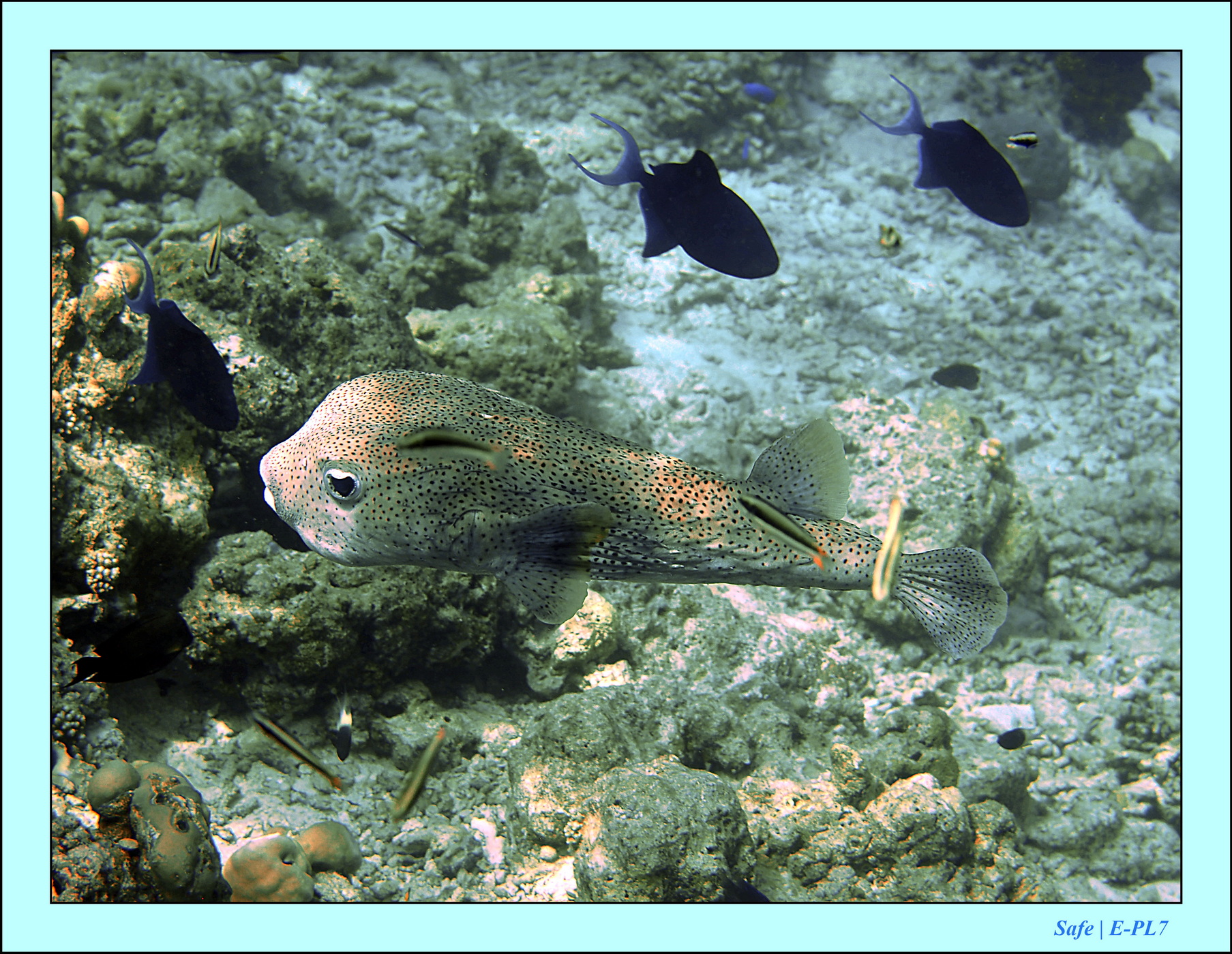 2023 - 07 - Sandies Bathala - 195